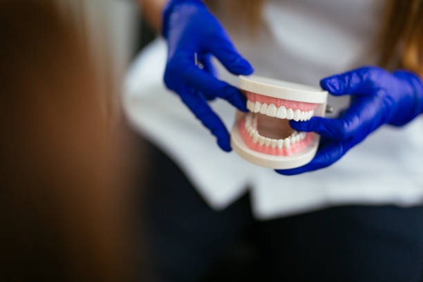 Best Pediatric Dentistry  in Belington, WV